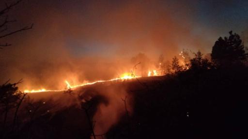 <p>Човешки останки са открити сред бушуващите горски пожари в Австралия</p>