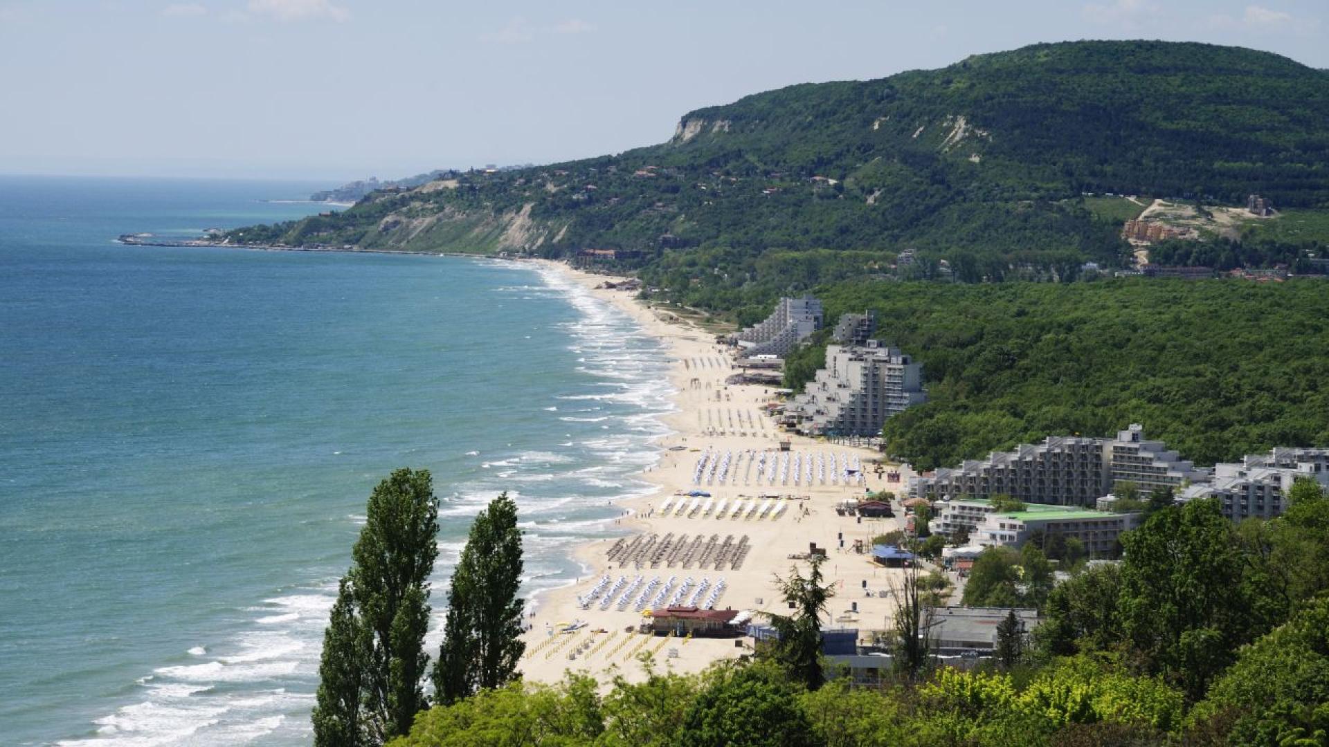 Водната бактерия вибрио причиняваща вибриоза се среща все по често а