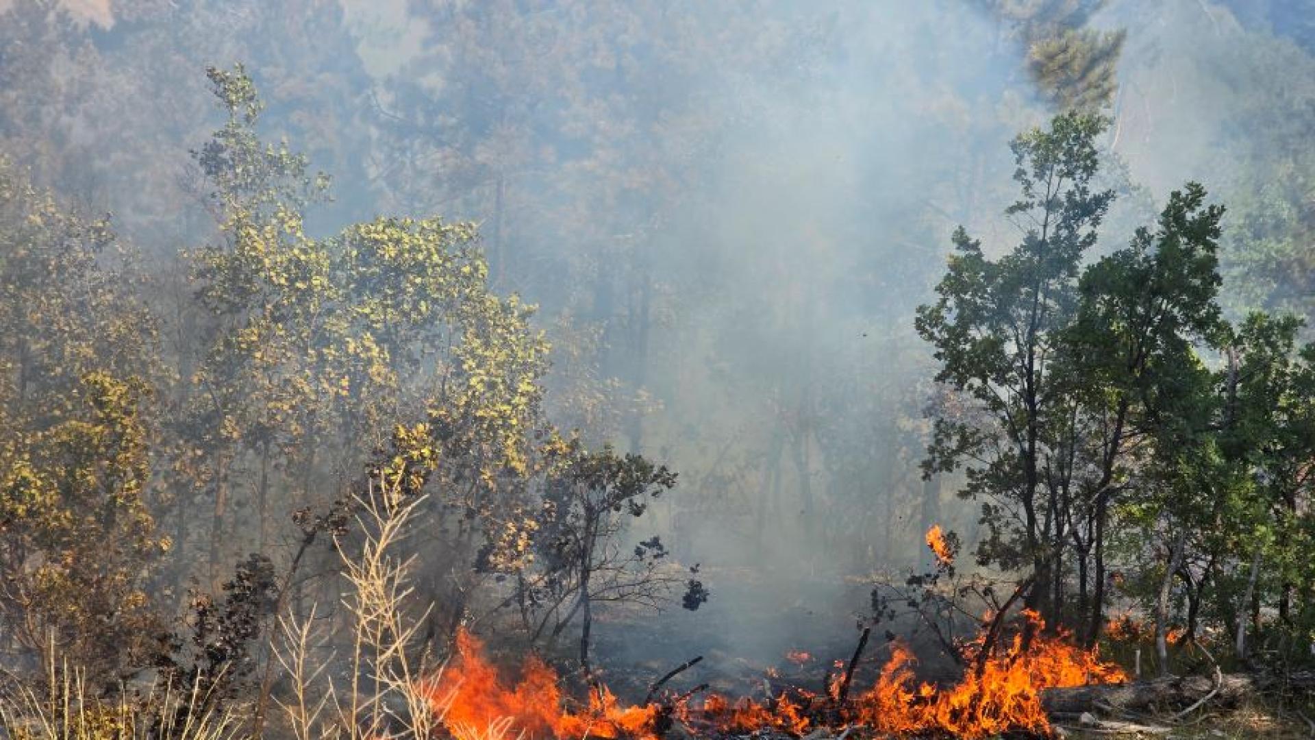 Борбата с огнената стихия в цяла България продължава Над 150