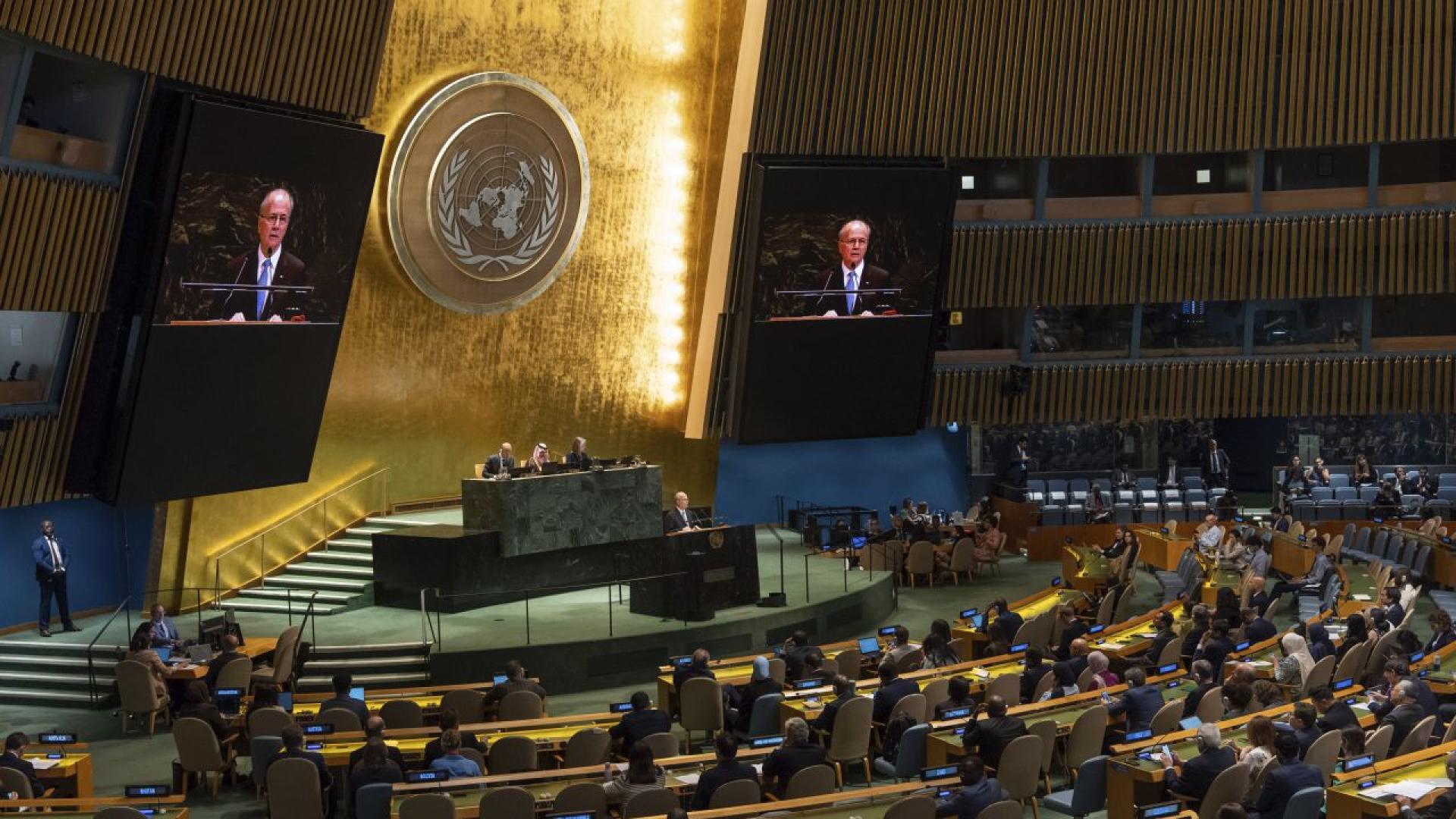 Международната конференция на ООН посветена на решаването на израелско палестинския конфликт