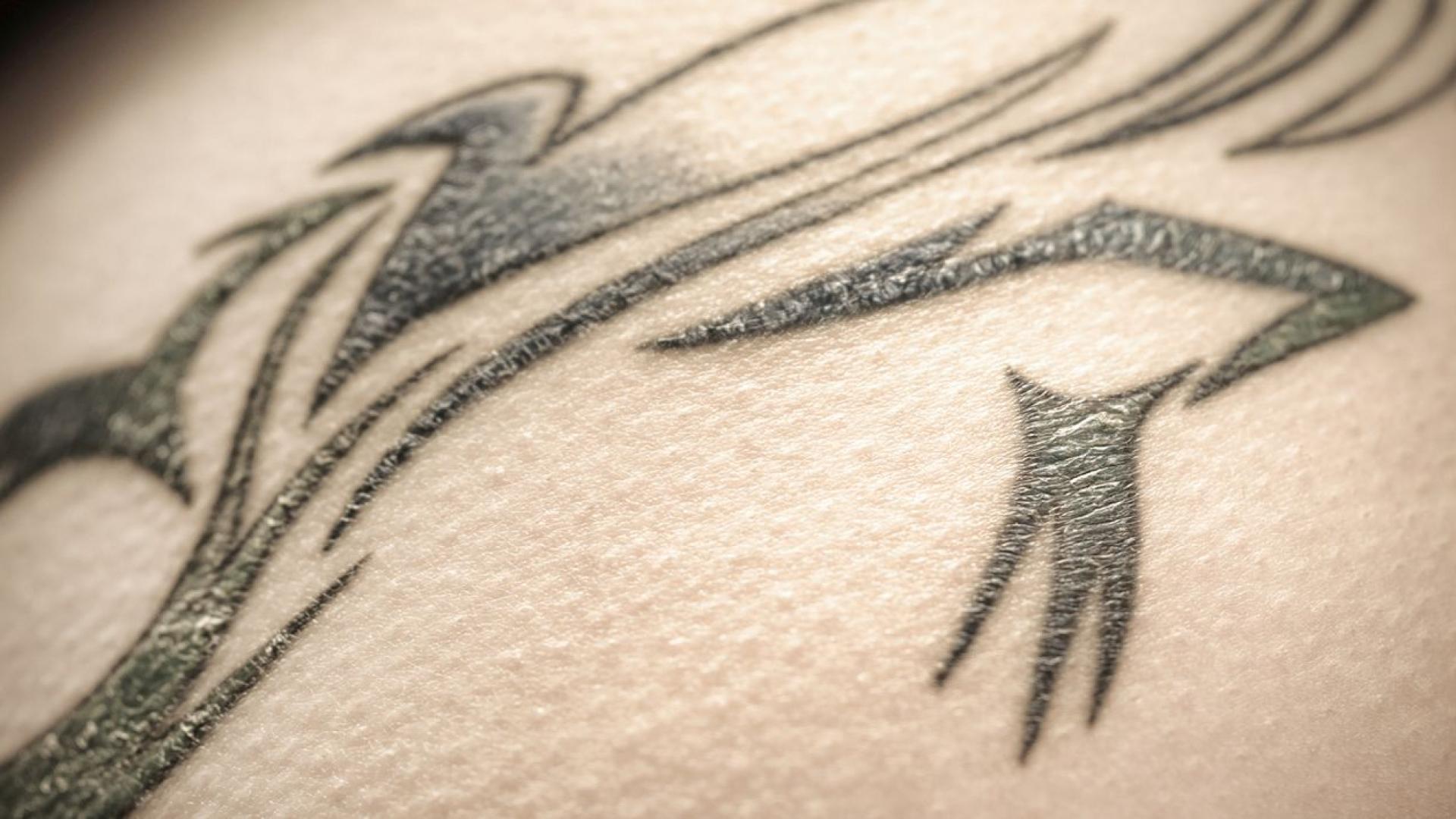 Висококачествени изображения на татуировки открити върху 2500 годишна сибирска ледена мумия