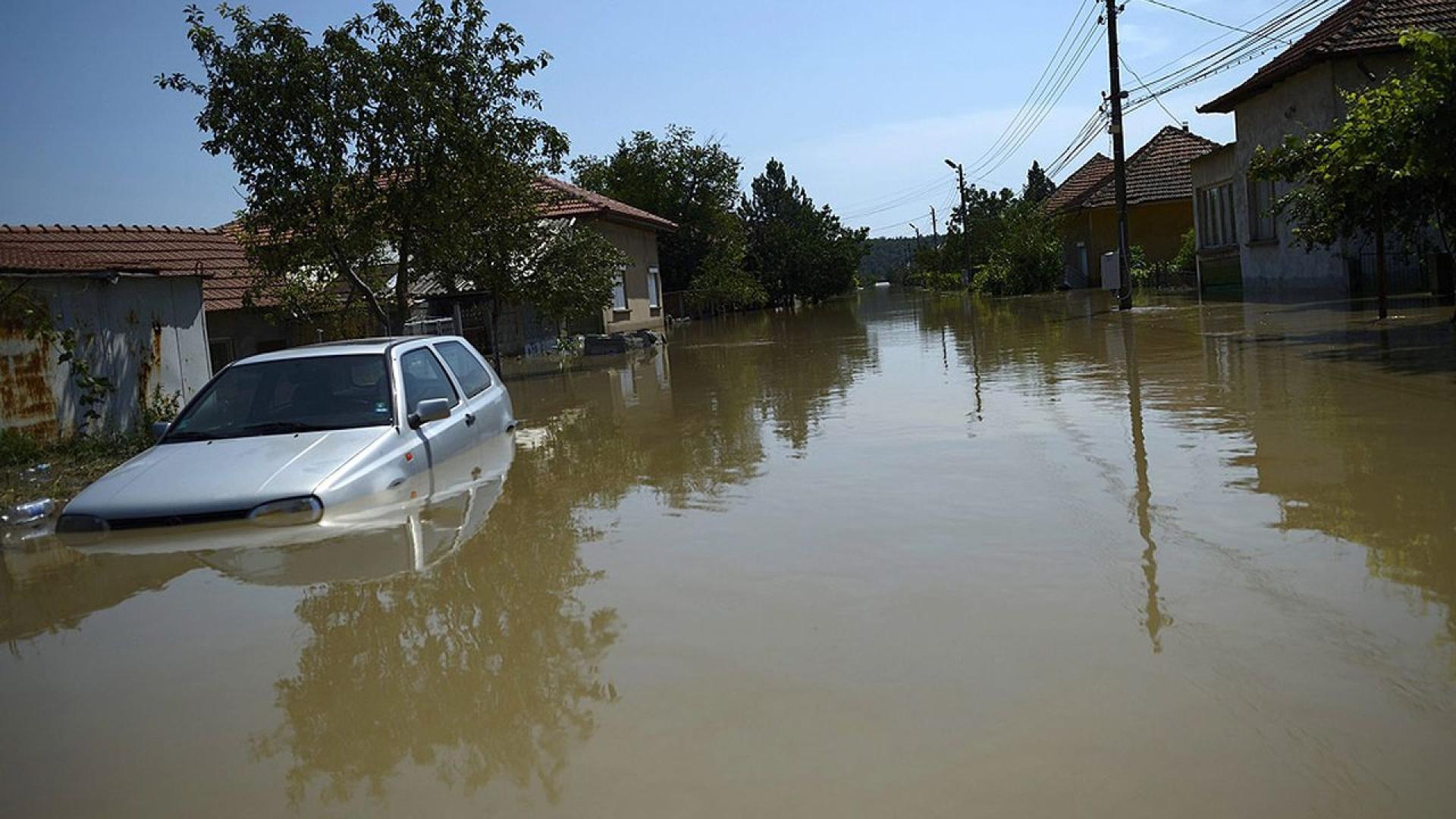 Вначалото на август 2014 г малкият дунавски град Мизия се