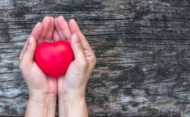 Проф. Мария Орбецова: 