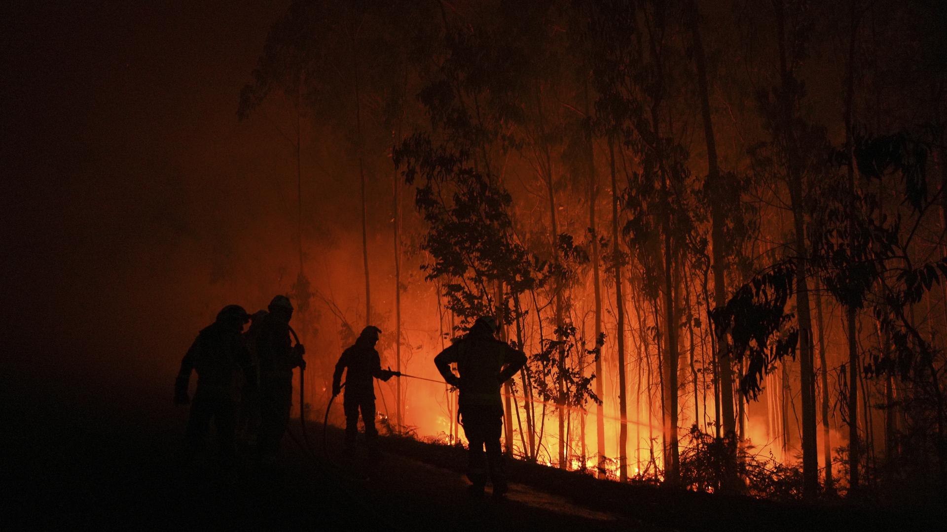 Над 1000 души бяха евакуирани заради пожари в Северозападна Испания