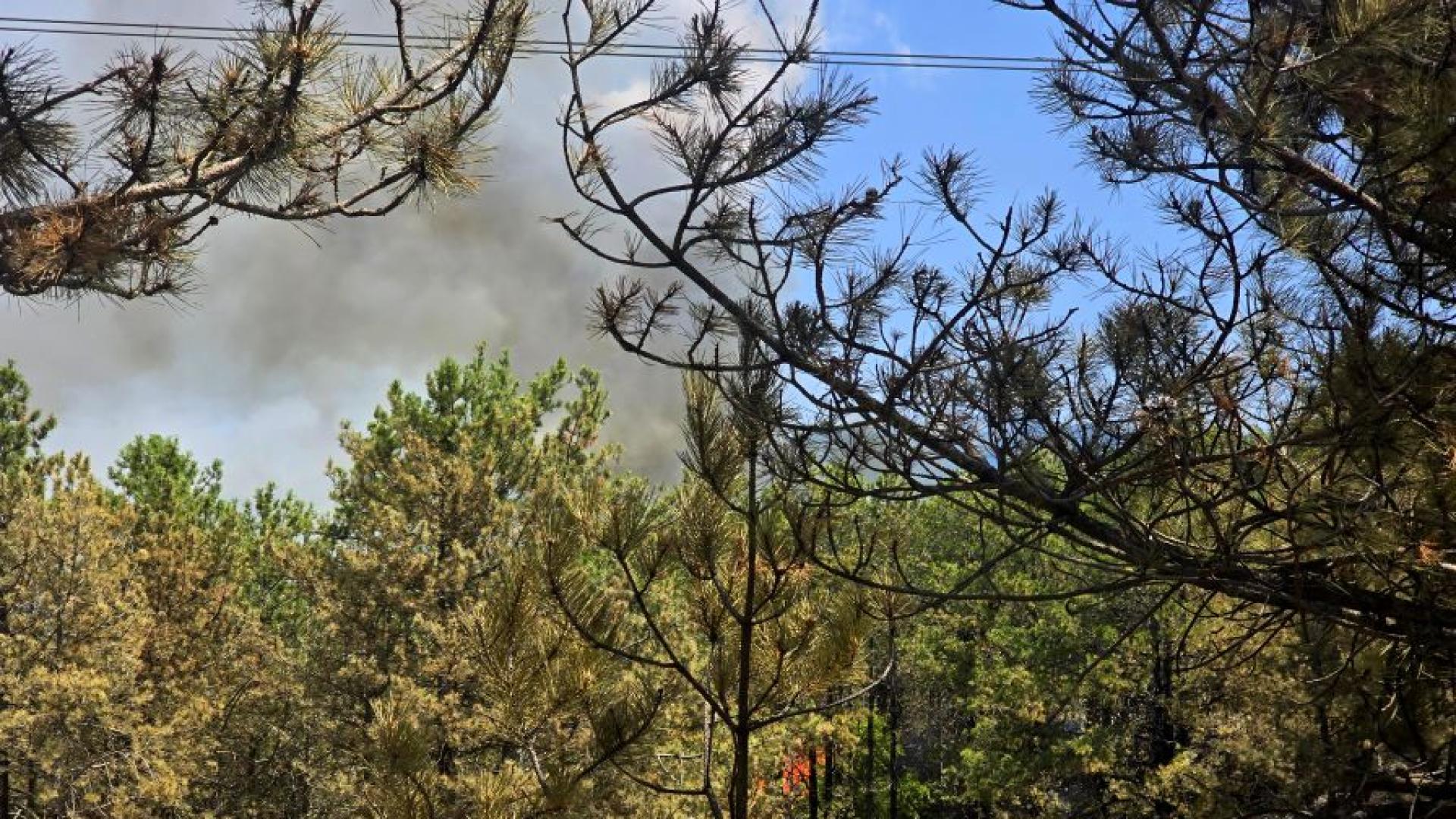 На територията на община Сандански над село Плоски има две