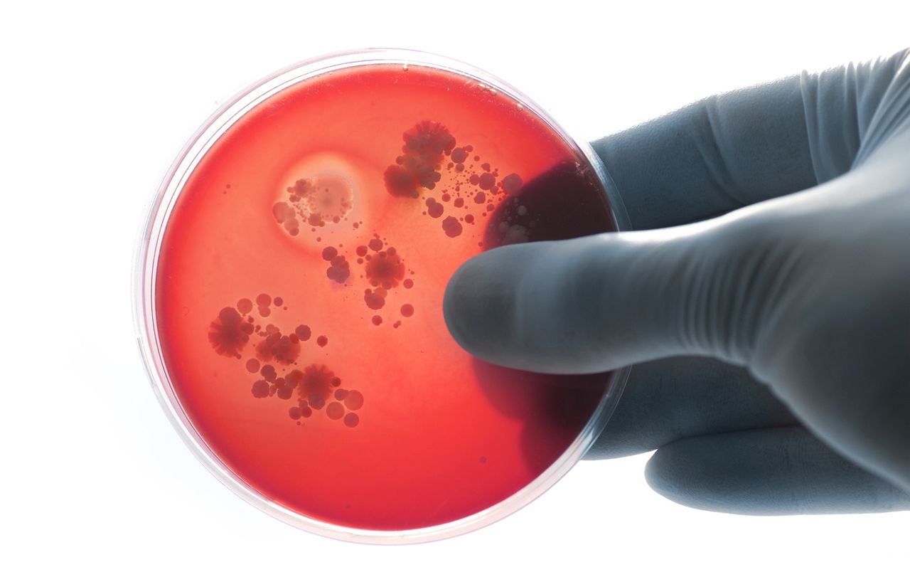 AI създаде антибиотици за гонорея и супербактерии MRSA