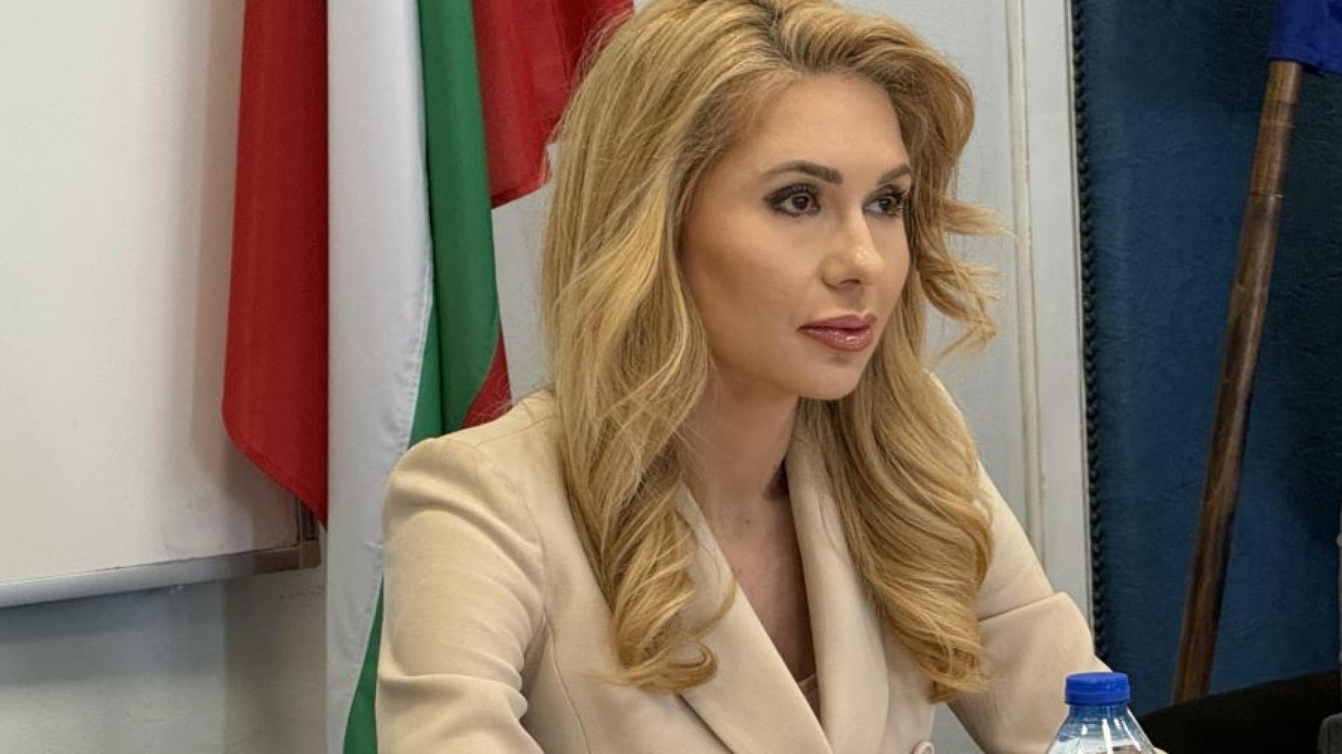 Омбудсманът Велислава Делчева внесе в Народното събрание кандидатурата на Мария