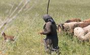 Възрастна жена изчезна в Средна гора, издирват я