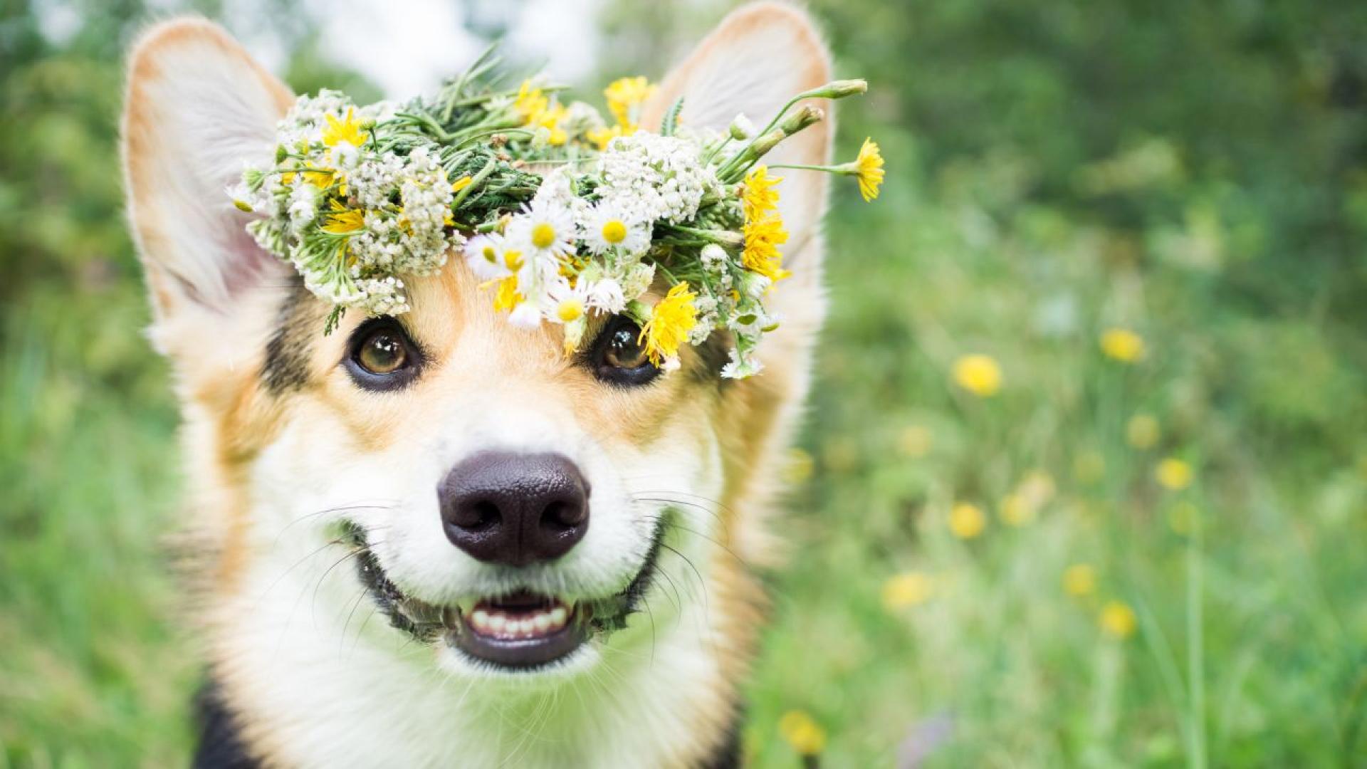 През нощта ще бъде ясно и тихо В четвъртъкще бъде слънчево
