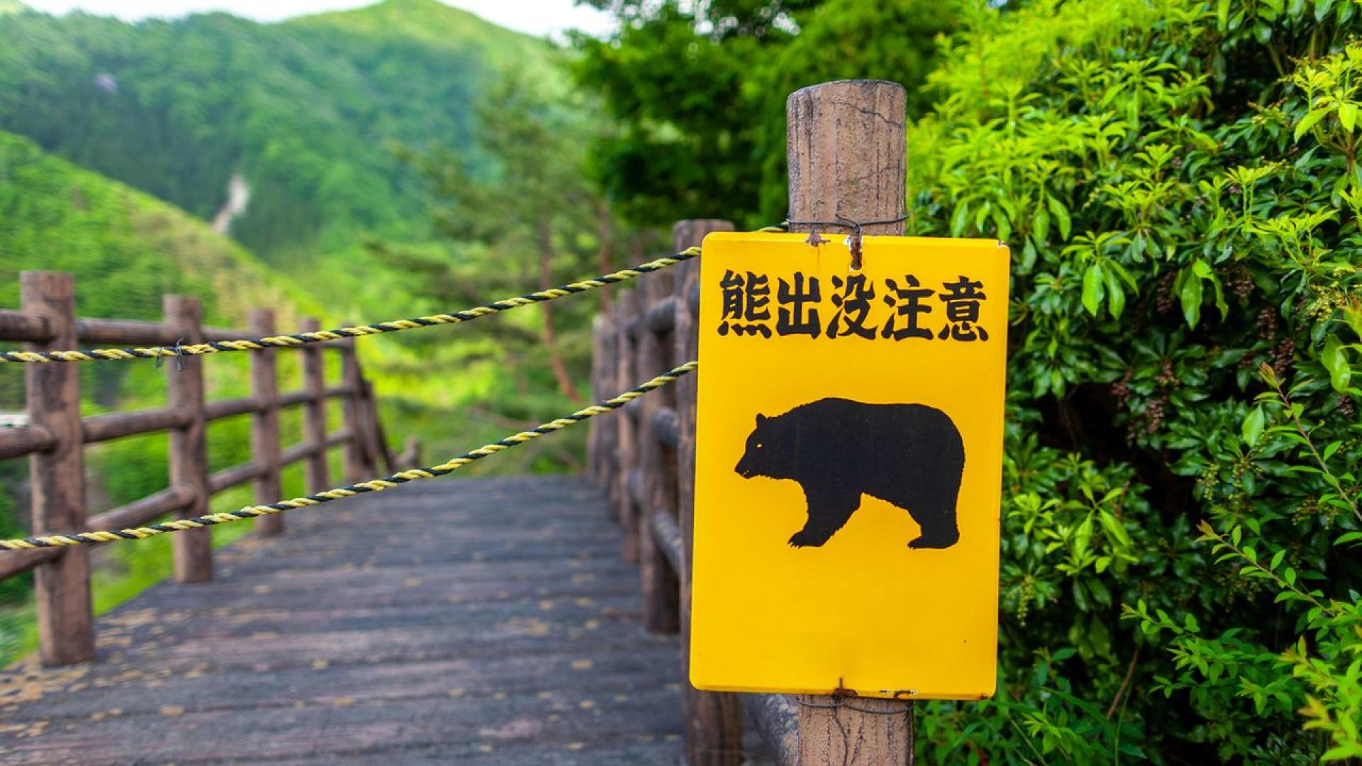 Японската полиция съобщи че възрастен мъж за когото първоначално се