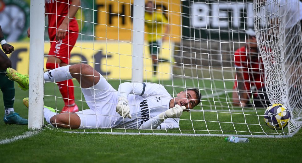 Добруджа Ботев Враца1