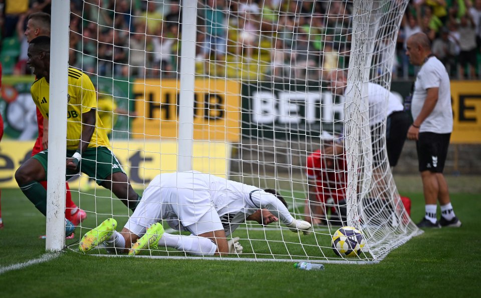 Добруджа Ботев Враца1