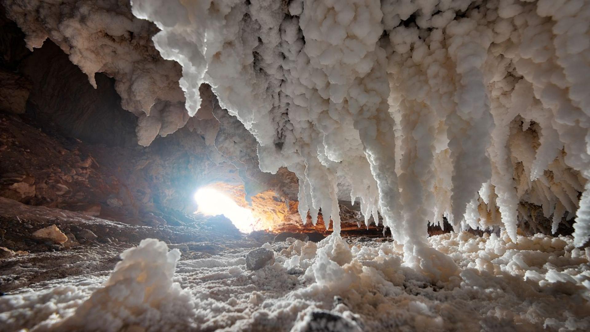 Не знаем как точно може да изглежда извънземният живот той