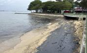 Петролен разлив в Черно море край Новоросийск