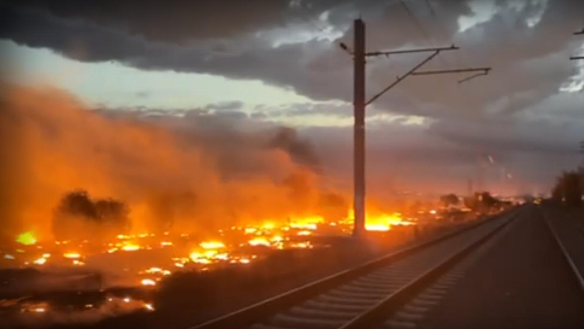 Огромен пожар се разгоря край Околовръстното шосе на София Горят