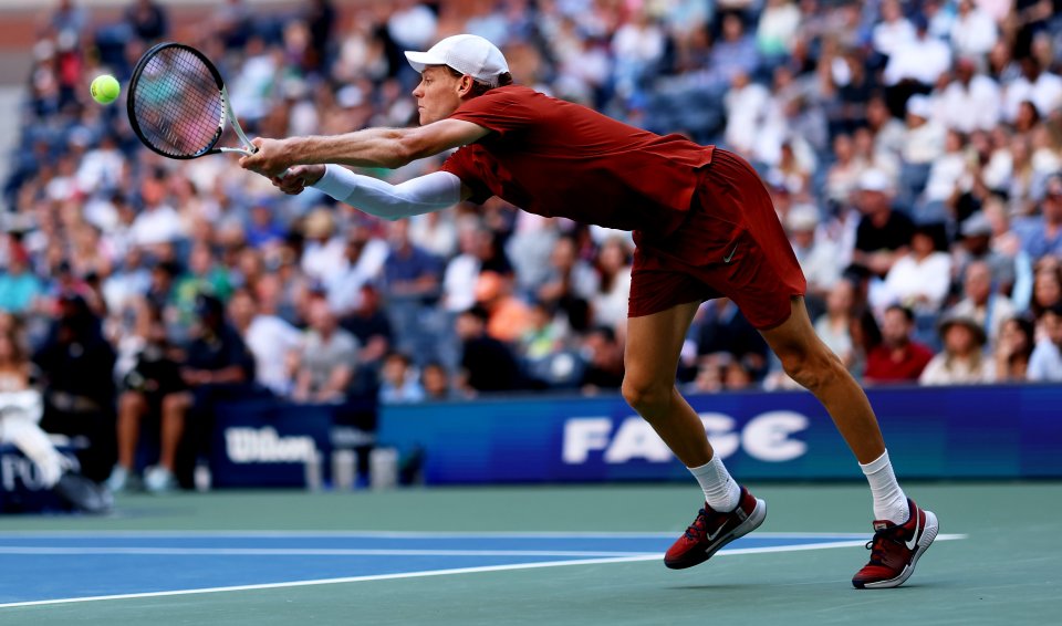 Яник Синер Денис Шаповалов1