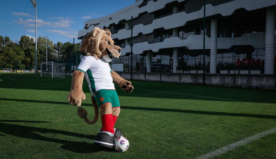 Тренировка на националния отбор на България1