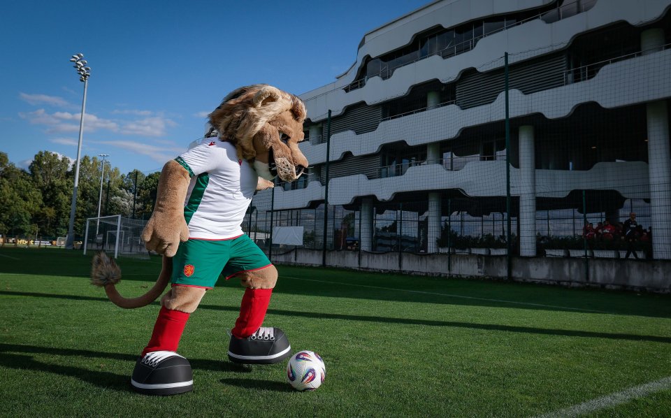 Тренировка на националния отбор на България1