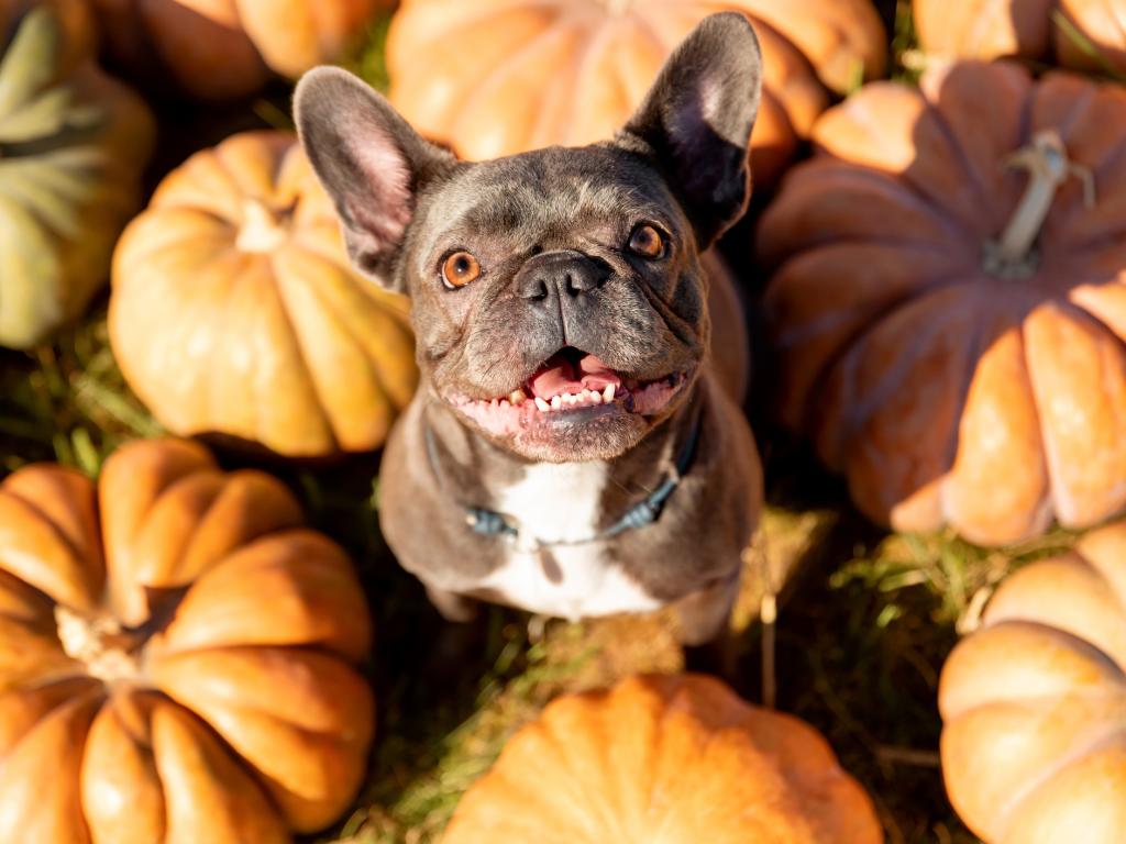 Илюстративна снимка