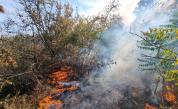 Голям пожар край Варна, горят поляна и борова гора