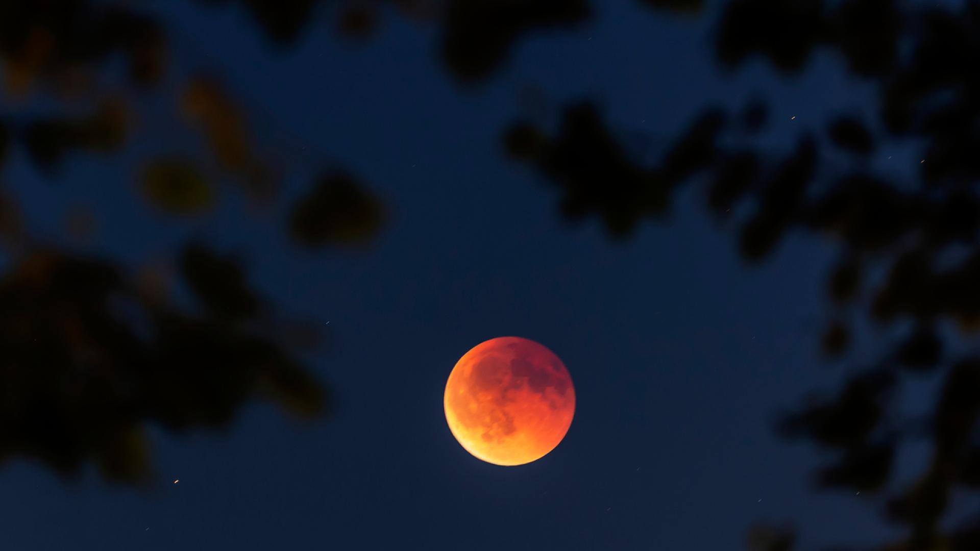 Милиони хора по света насочиха поглед към небето снощи когато