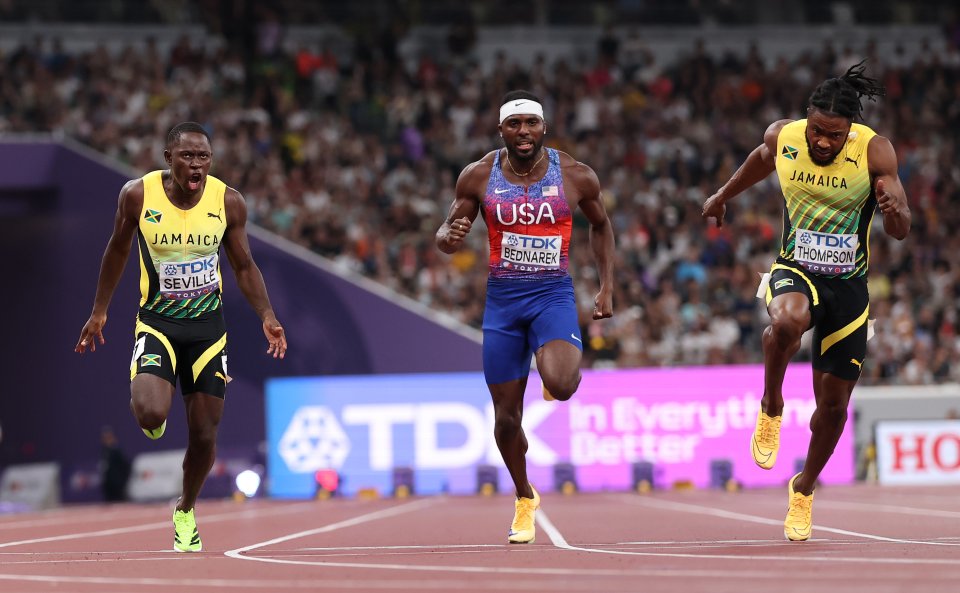 Облик Севил1