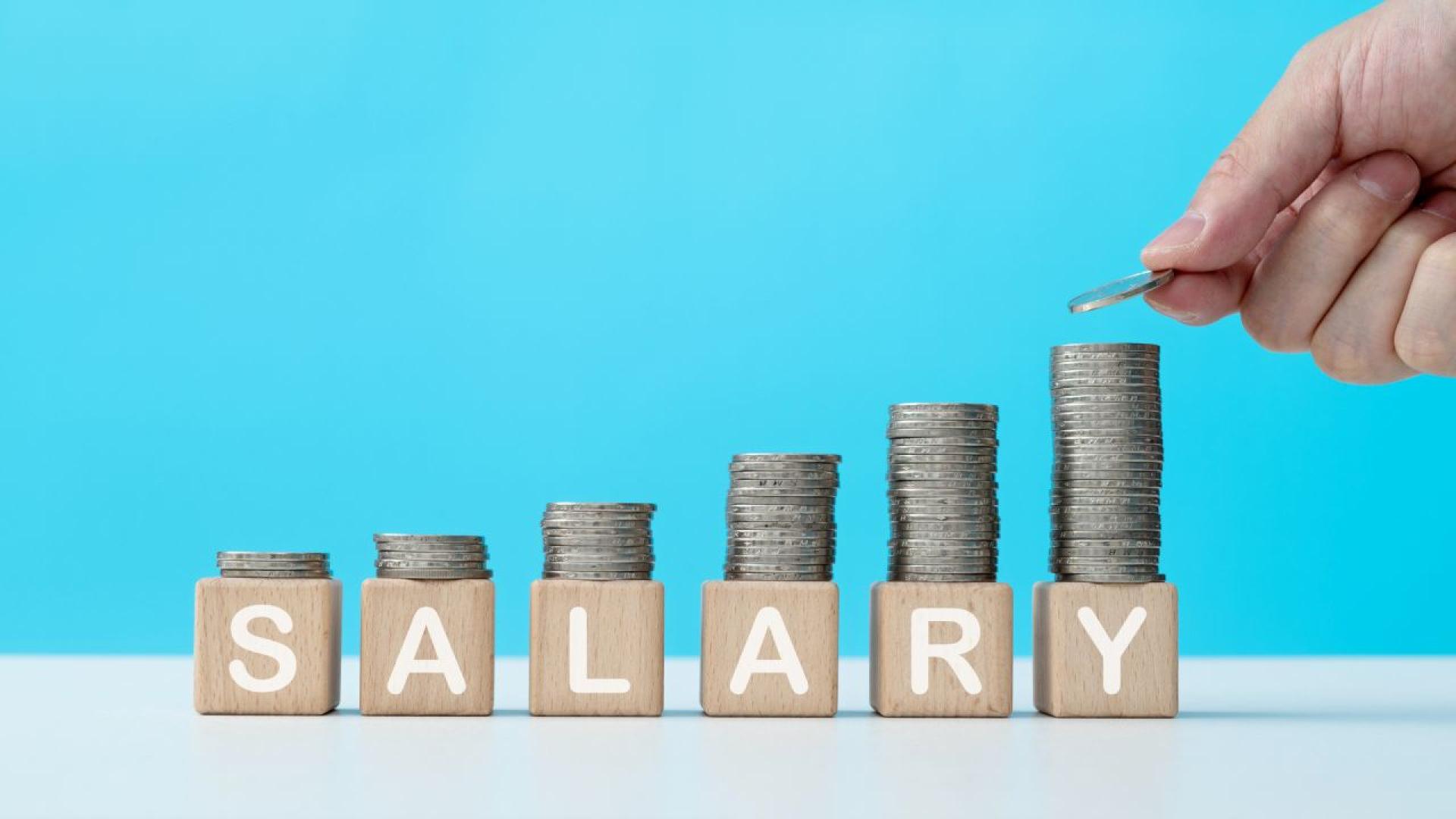 Българинът обявил най висок доход пред Националната агенция за приходите НАП