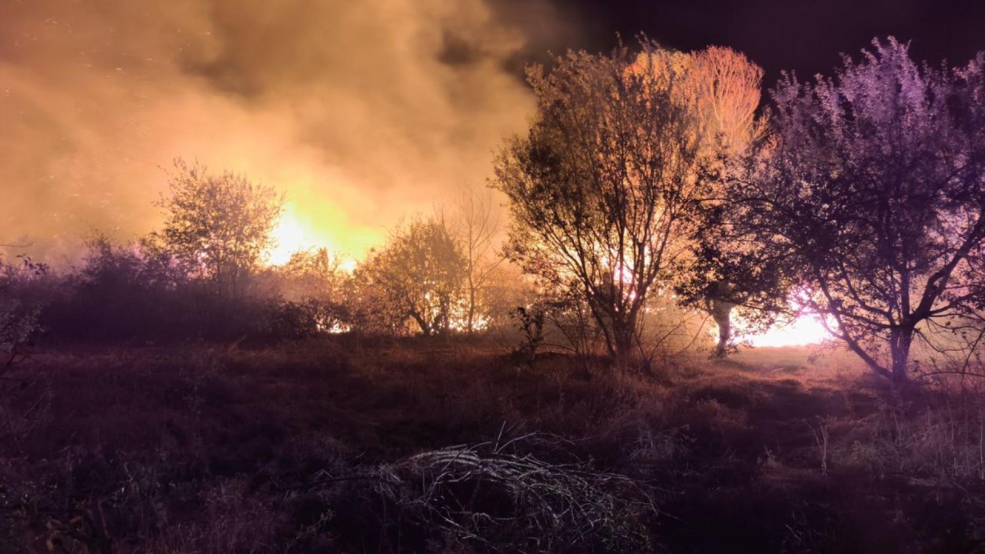 Овладян е пожарът възникнал между селата Старосел и Паничери Изгорели