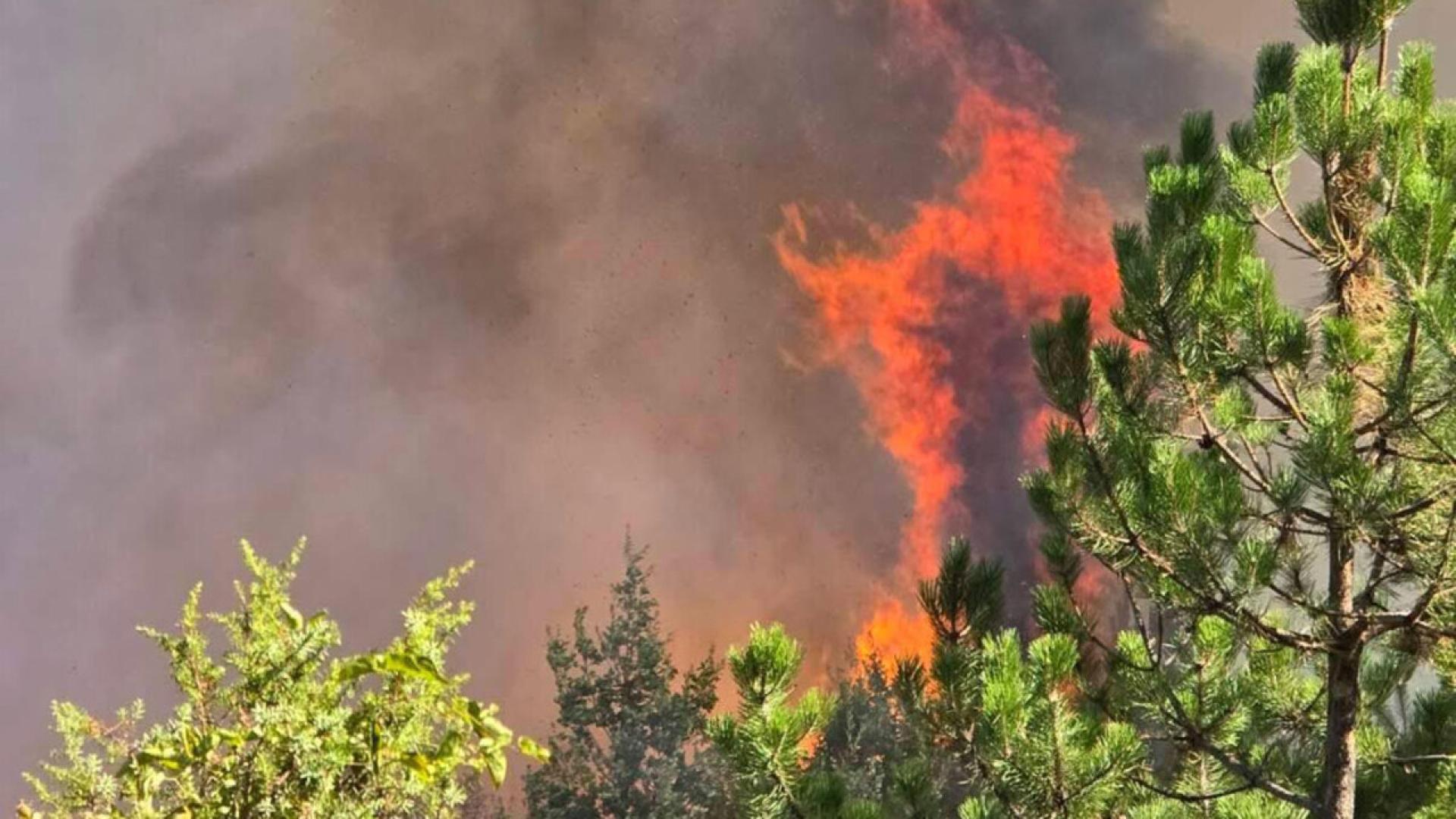 Пожарът край асеновградското с Горнослав е локализиран На място остават