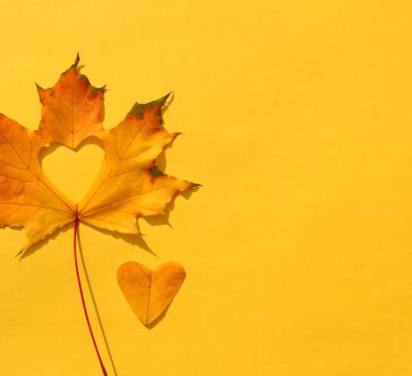 На 22 септември 2025 г точно в 21 20 ч българско