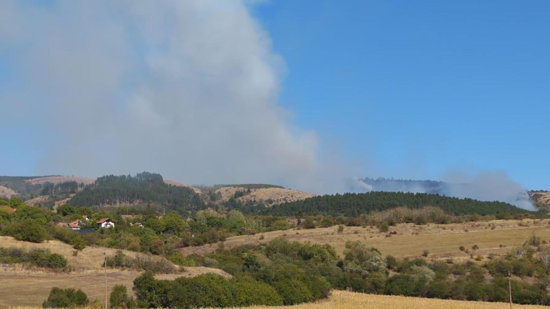 Внеделя избухна голям пожар над село Ракита община Сливница Той