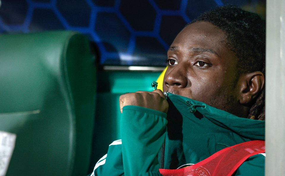 Берое Добруджа1