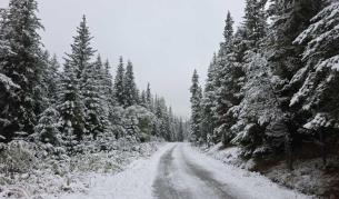 Сняг вали в Родопите