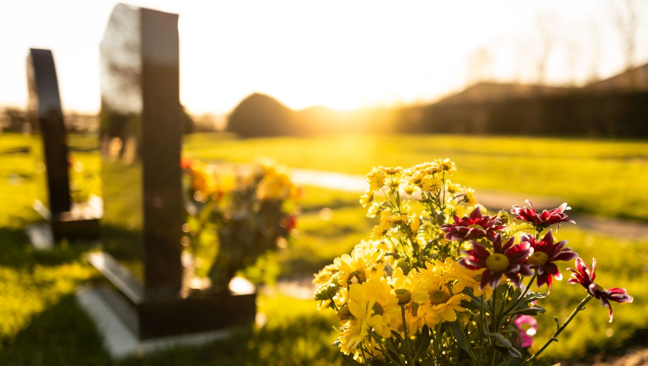 <p><!--StartFragment -->Тези дихателни модели са различни, защото функцията на дишането е различна от &bdquo;истинското дишане&ldquo;. Когато тялото не получава кислорода, от който се нуждае, за да продължи да живее, то има тези естествени рефлекси.<!--EndFragment --></p>