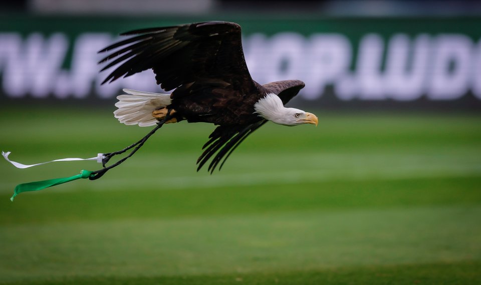 Лудогорец Спартак Варна1