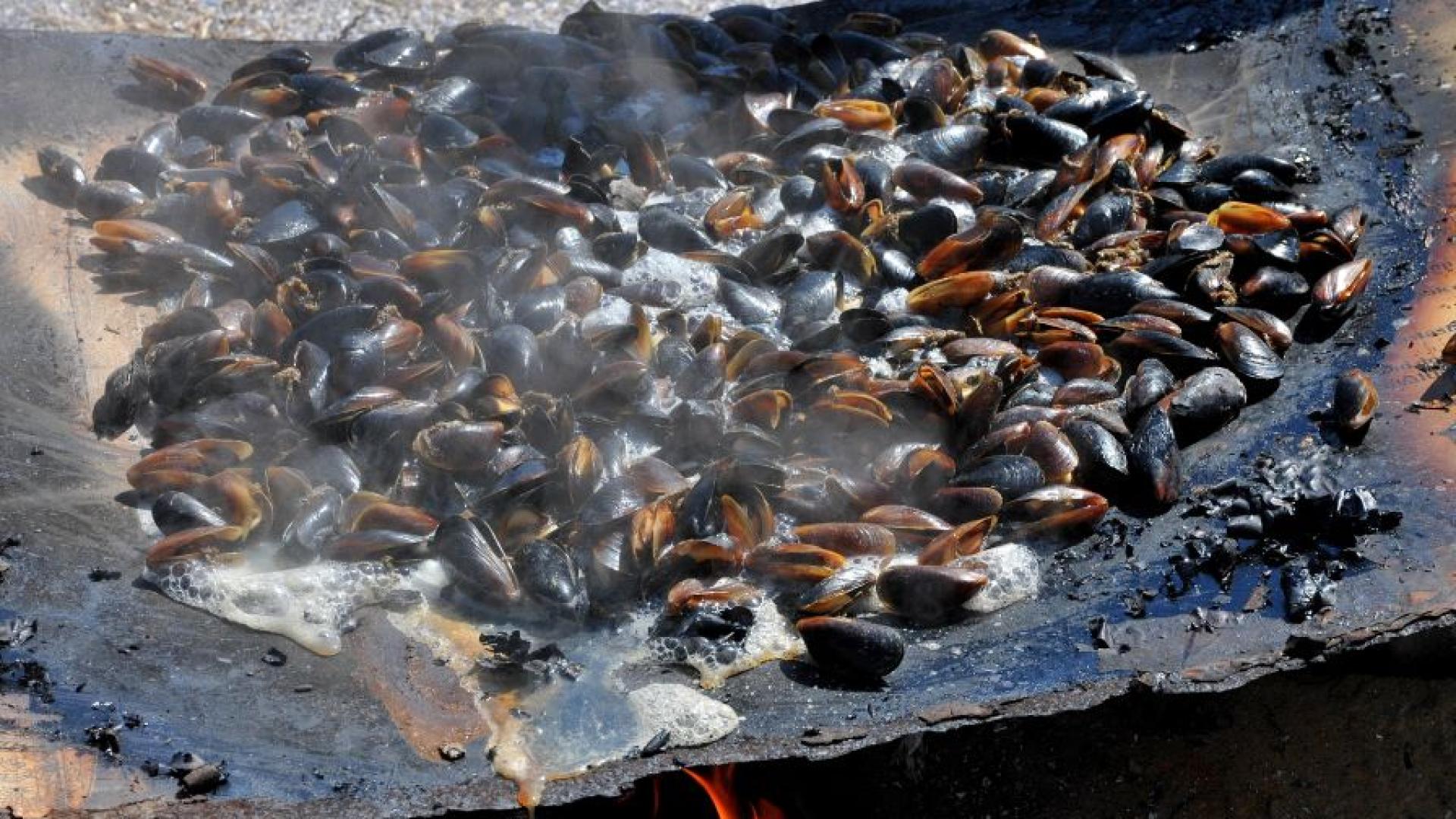 Подводни претърсвания наредени неотдавна от офиса на Европейската прокуратура в