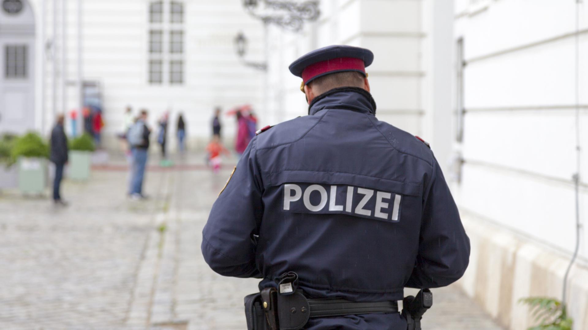 Група гимназисти във Виена са обвинени в изнудване и изнасилване