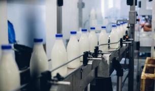 <p>Mлекопреработвателите въстанаха срещу БАБХ</p>