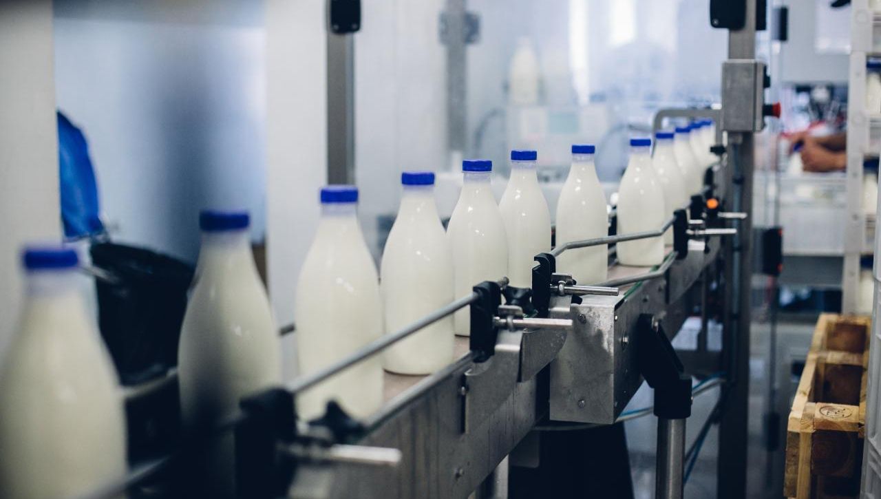 Защо млечните продукти в Гърция поскъпват