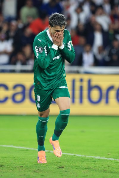 Лига де Кито Палмейрас1