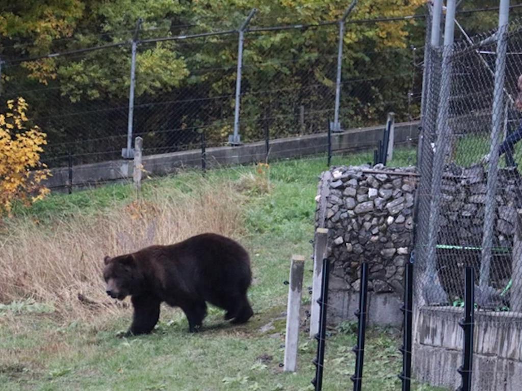 Фрол и Фросия