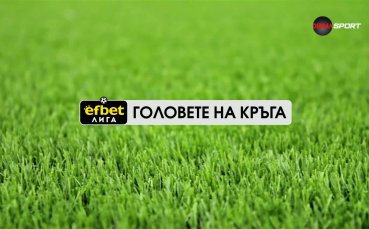 Головете на кръга (13 кръг, 28.10.2025)