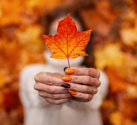 Ако има едно нещо което светът на красотата ни научи