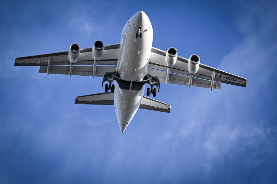 Фратрия Арда1