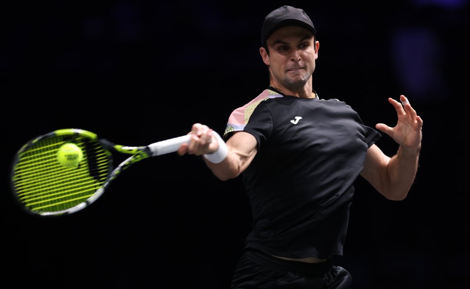 Тейлър Фриц Александър Вукич1