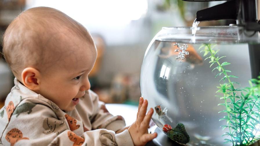 Снимката е илюстративна