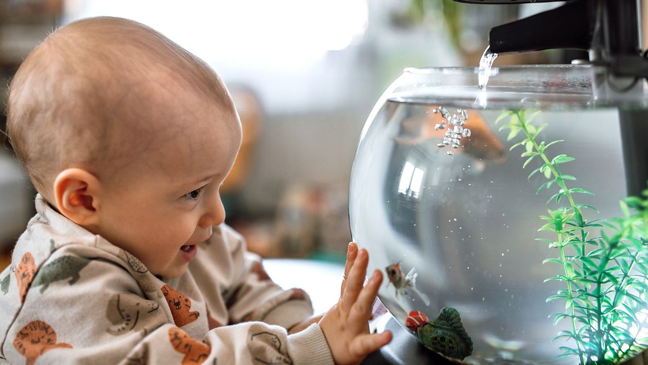 Бебе от Португалия, миришещо на гнила риба, изуми лекарите