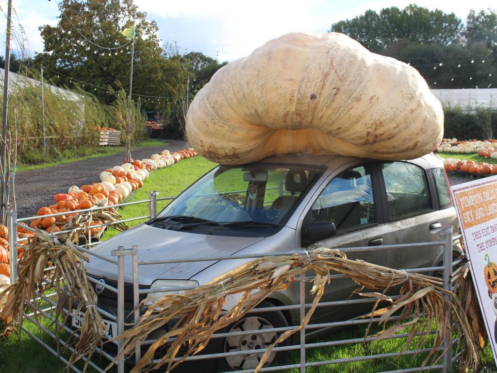 Рекорд на Гинес