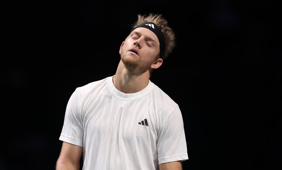 Алехандро Давидович Фокина Александър Зверев1