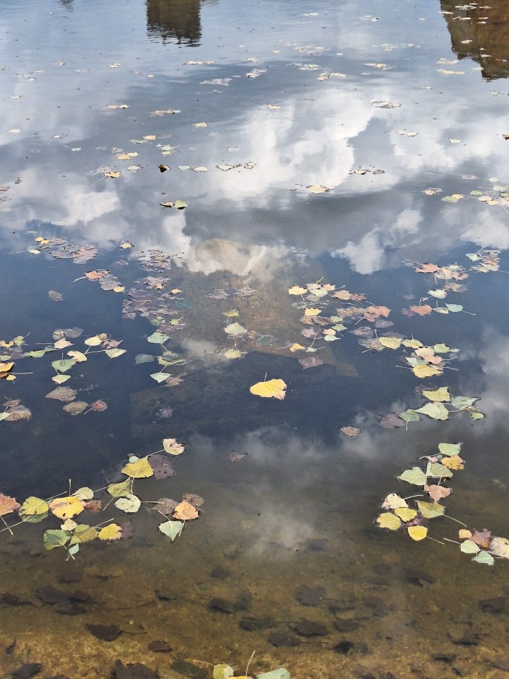 <p>Следи от живот по тези земи има още от времето на траките &ndash; надгробни могили, крепостни останки, както и римски пътища и мостове. Първите заселници вероятно са били от тракийското племе трибали. Името &bdquo;Правец&ldquo; произхожда от старобългарската дума &bdquo;правьць&ldquo; &ndash; &bdquo;прав път&ldquo;, което подсказва и стратегическото значение на мястото и е една от основните причини да се запази и до днес.</p>